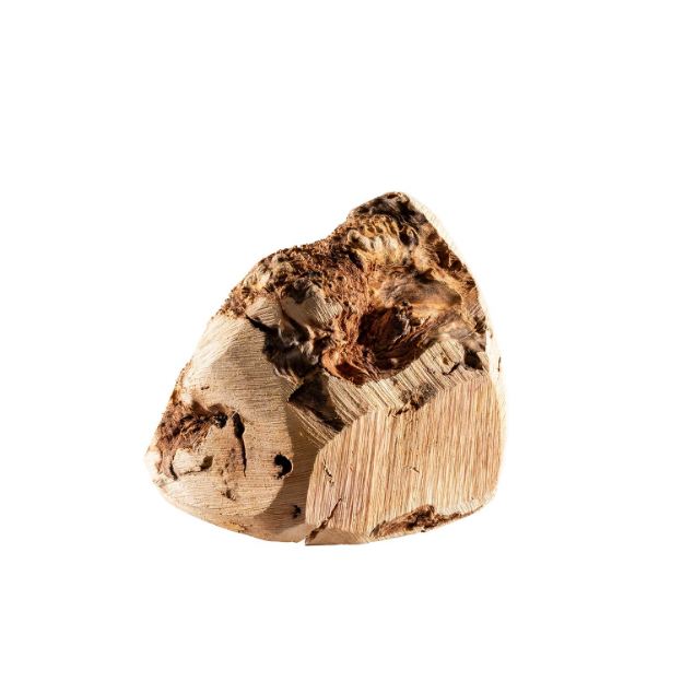 Bild von Chewies Kauwurzel Größe L