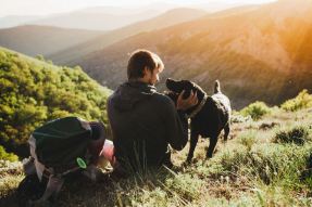 Bildnummer Wanderlust mit Pfoten: Die schönsten Hundewanderungen für Mensch und Tier