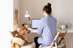 Bildnummer Erfolgreiches Homeoffice mit Hund: Praktische Tipps für eine harmonische Arbeitsatmosphäre