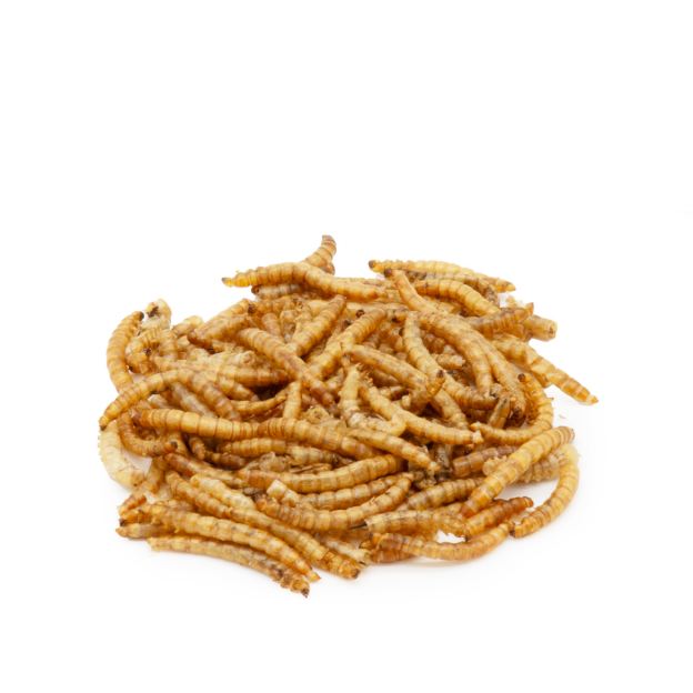 Bild von 250 g getrocknete Mehlwürmer