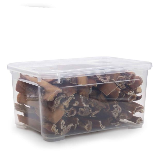 3 kg Rinderkopfhaut ca. 20-25 cm mit Aufbewahrungsbox	